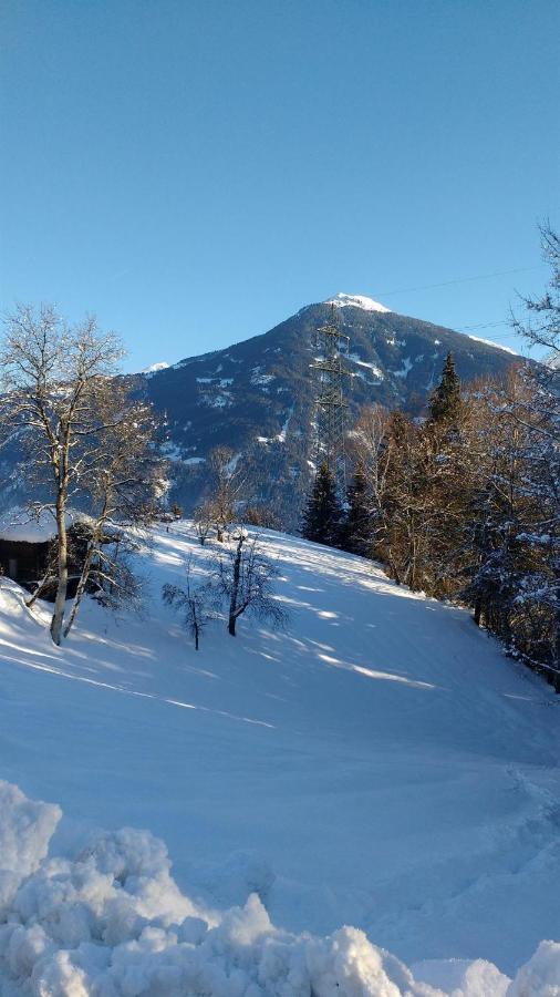 Appartement Wieshof à Kaltenbach Extérieur photo